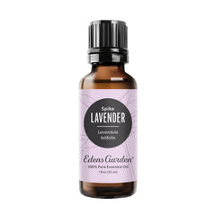 Edens Garden Lavender Spike bottle ready for diffuser use to refresh the space.