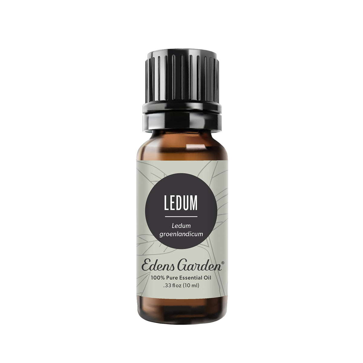 Edens Garden Ledum bottle for pure diffusion and a grounding aroma.