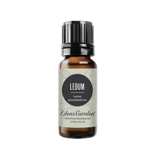 Edens Garden Ledum bottle for pure diffusion and a grounding aroma.