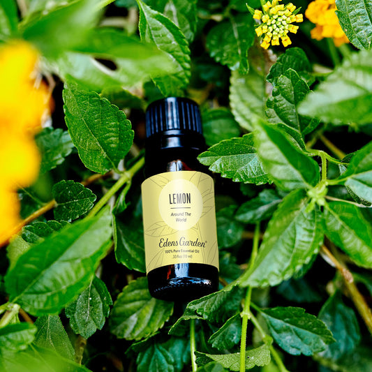 Edens Garden Lemon Around The World bottle label, signals purity for mindful diffusions