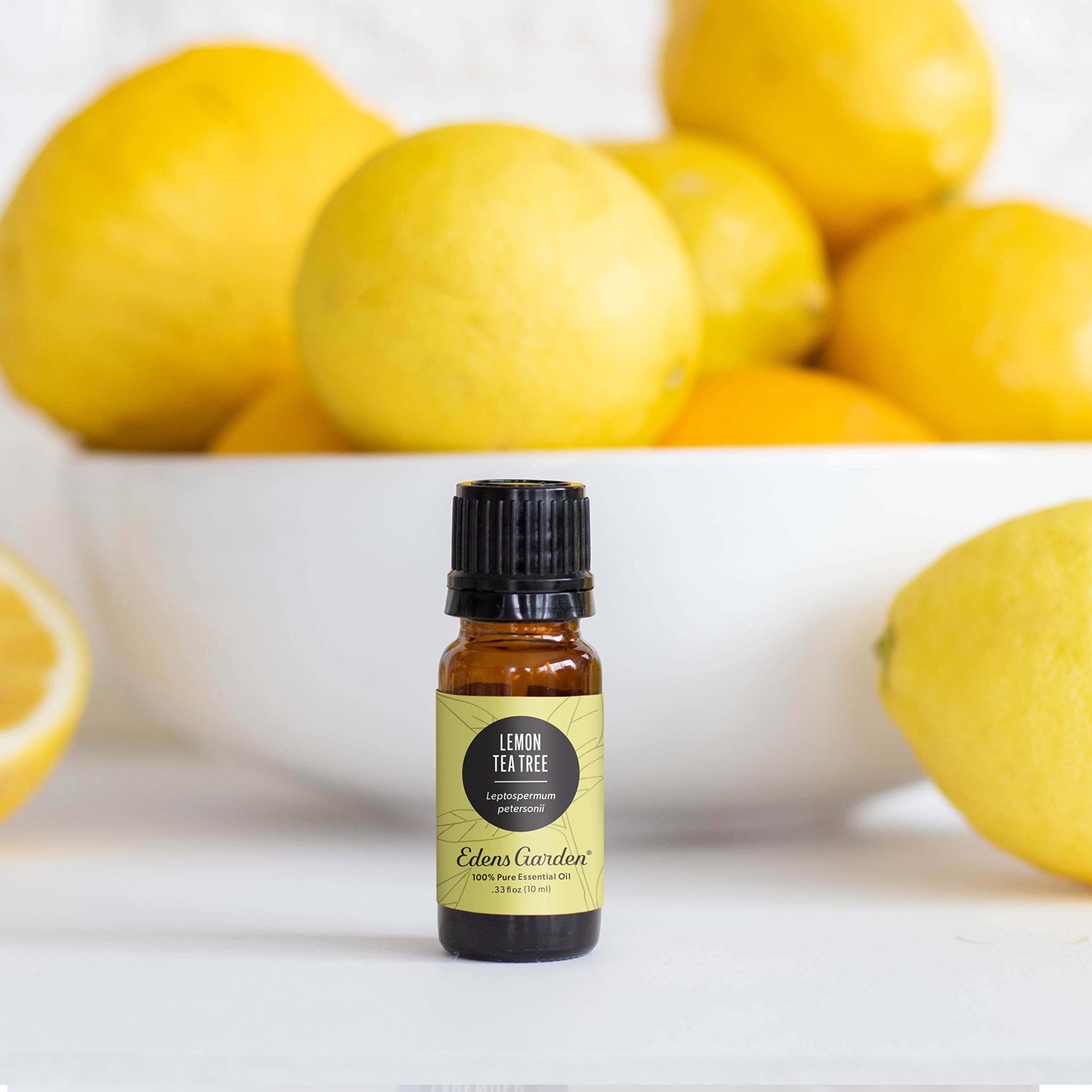 Edens Garden Lemon Tea Tree oil diffuser setup offers a fresh ambiance.