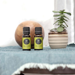 Edens Garden Lime essential oil diffuser scene offers a refreshing citrus aroma.