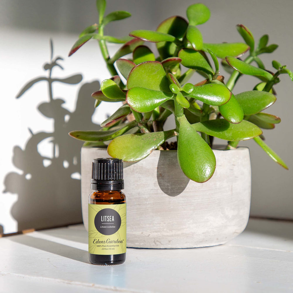 Edens Garden Litsea diffuser releasing a bright citrus aroma to lift the mood.