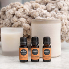 Mandarin-Red oil in diffuser creating a bright citrus ambiance.