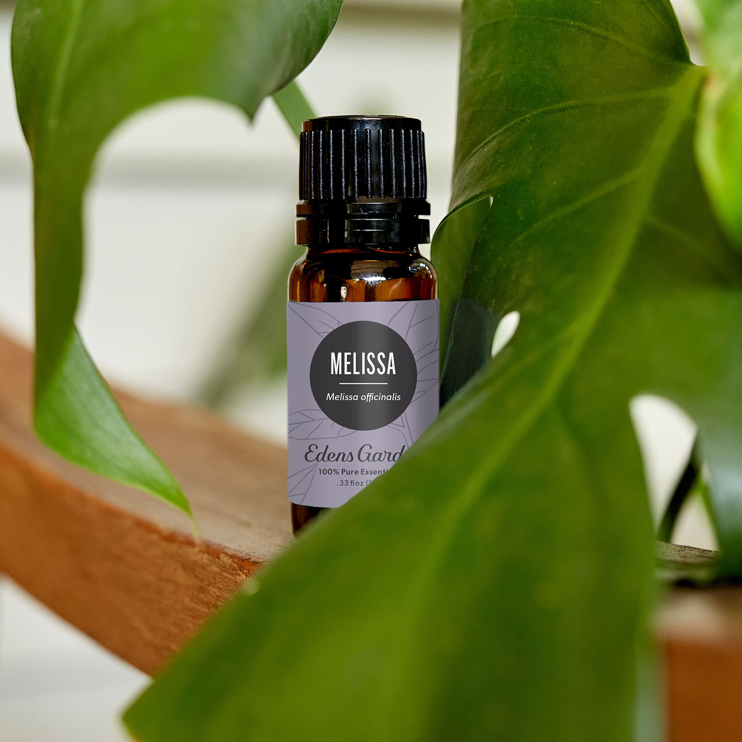 Edens Garden Melissa leaves close-up showing natural botanicals for blends
