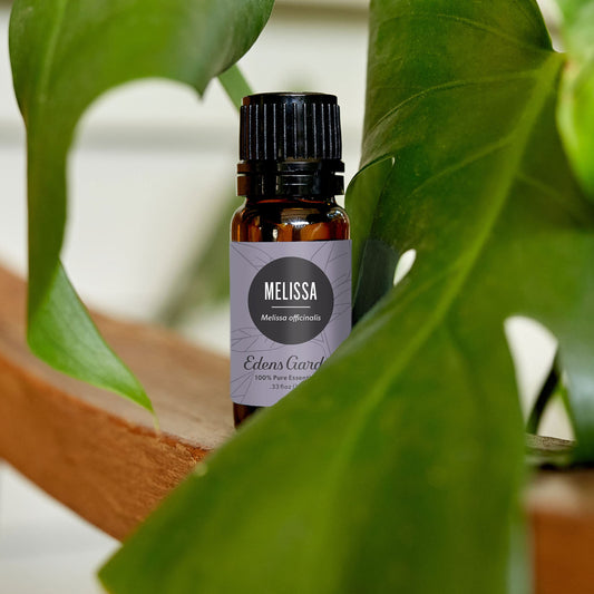 Edens Garden Melissa leaves close-up showing natural botanicals for blends