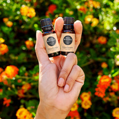 Edens Garden Nausea & Motion Sickness diffuser image highlights space-friendly aroma for travel