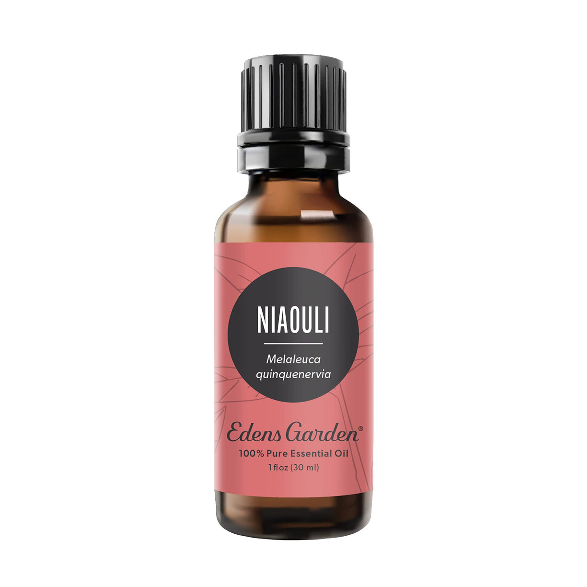 Edens Garden Niaouli essential oil bottle for diffusion and energizing ambience.