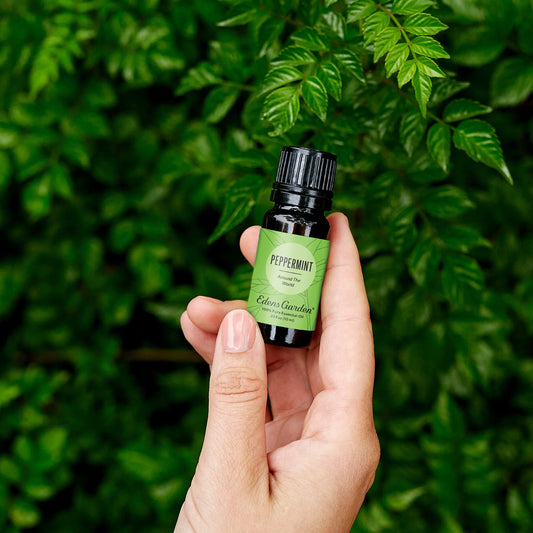 Edens Garden Peppermint Around The World diffuser highlighting invigorating, crisp scent.