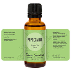 Edens Garden Peppermint Around The World glass bottle close-up for refreshing aroma.