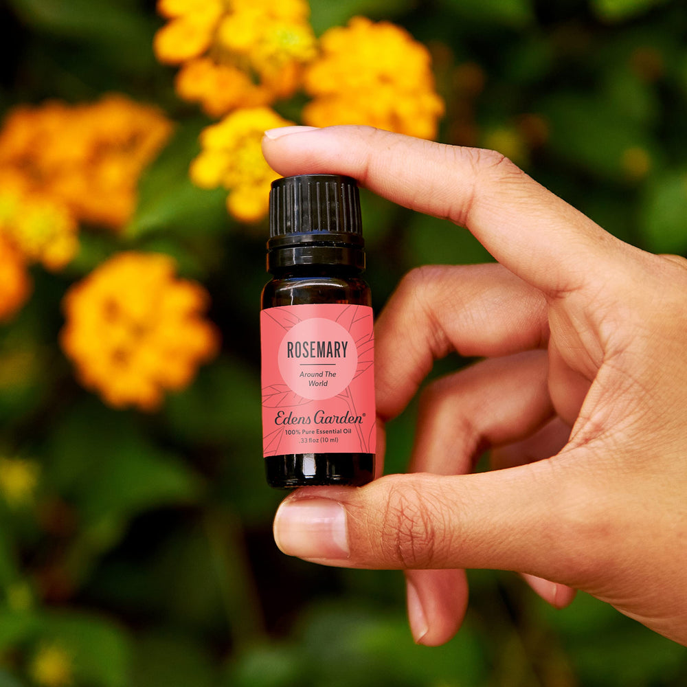 Edens Garden Rosemary Around The World diffuser blend aroma in room.
