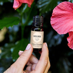 Edens Garden Sandalwood Around The World diffuser setup for meditation.
