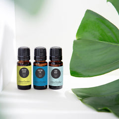 Edens Garden six pack diffuser scene highlights versatile aromatherapy options