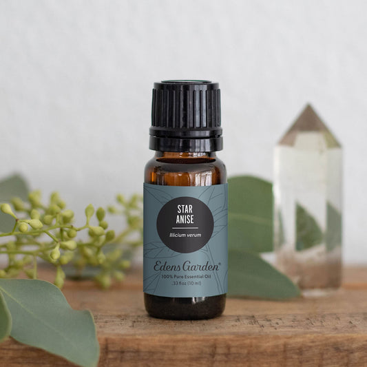 Edens Garden Star Anise oil diffuser room scene with inviting aroma