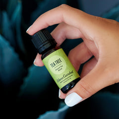 Tea Tree Around The World diffuser-ready blend enriching room air