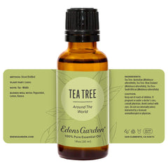Travel-friendly Tea Tree Around The World bottle for on-the-go aromatherapy