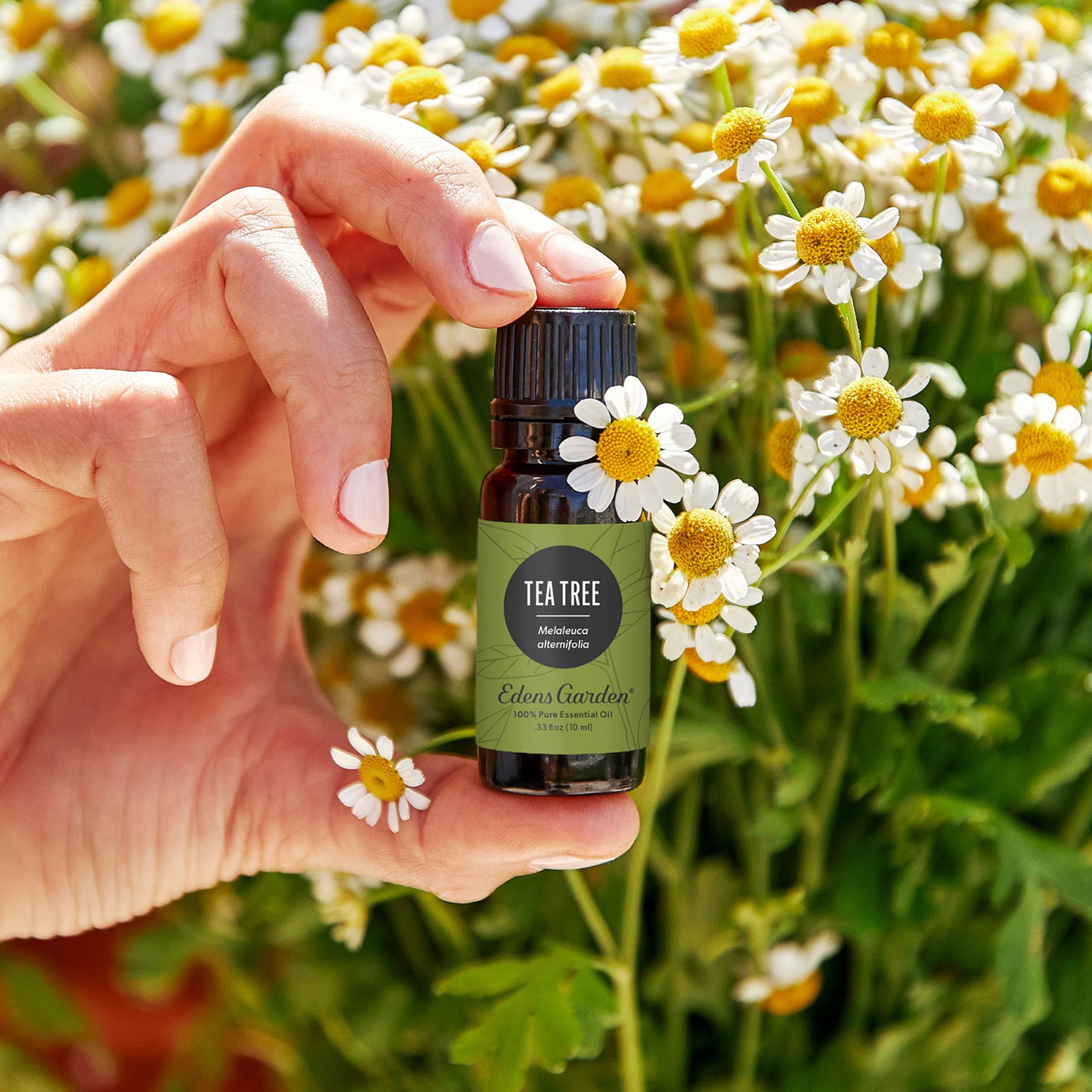 Edens Garden Tea Tree oil dropper ready for topical use.