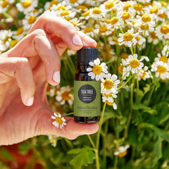 Edens Garden Tea Tree oil dropper ready for topical use.