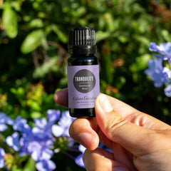 Edens Garden Tranquility diffuser fill creates a peaceful room atmosphere.