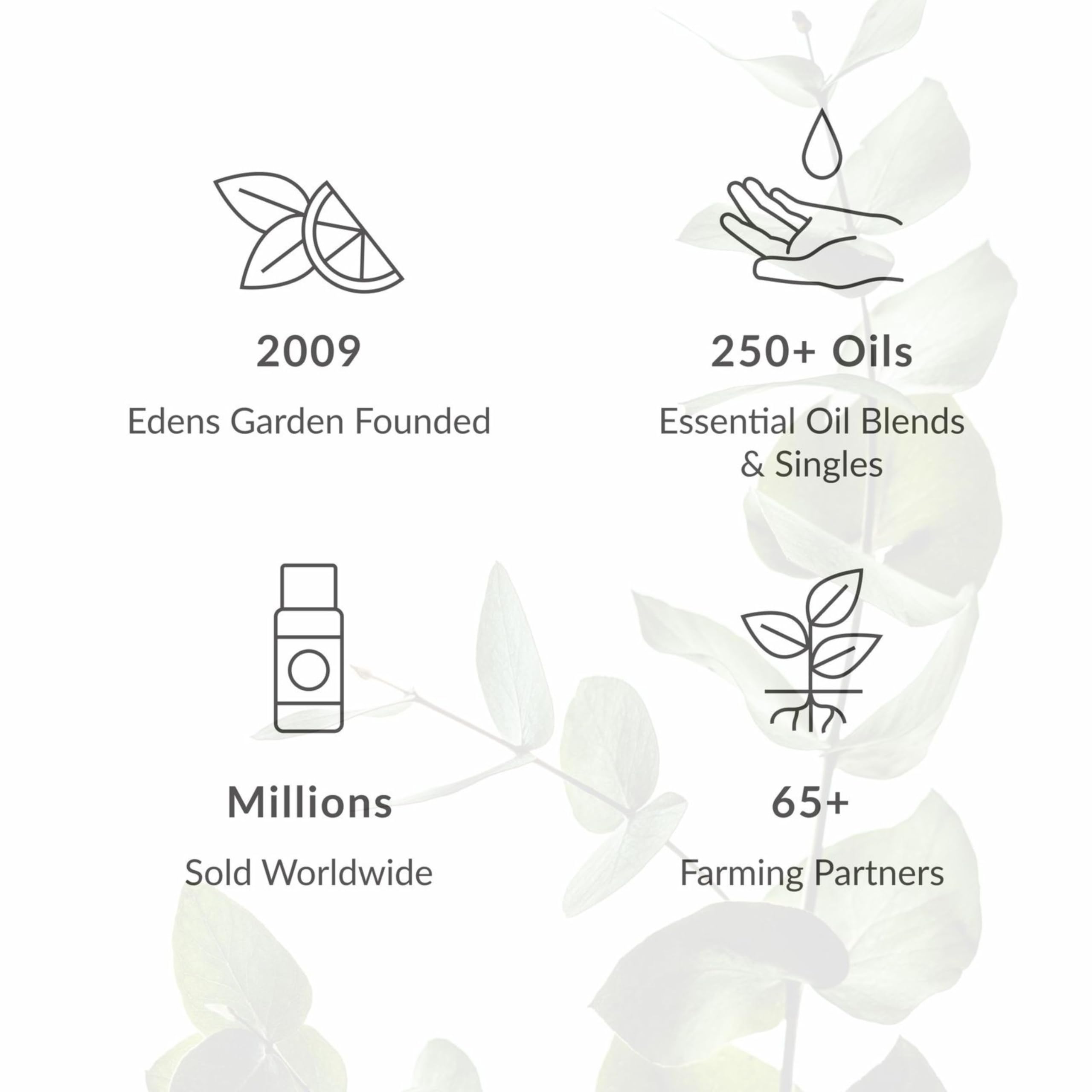 Edens Garden Tummy Aid dropper vial for precise 1% dilution.