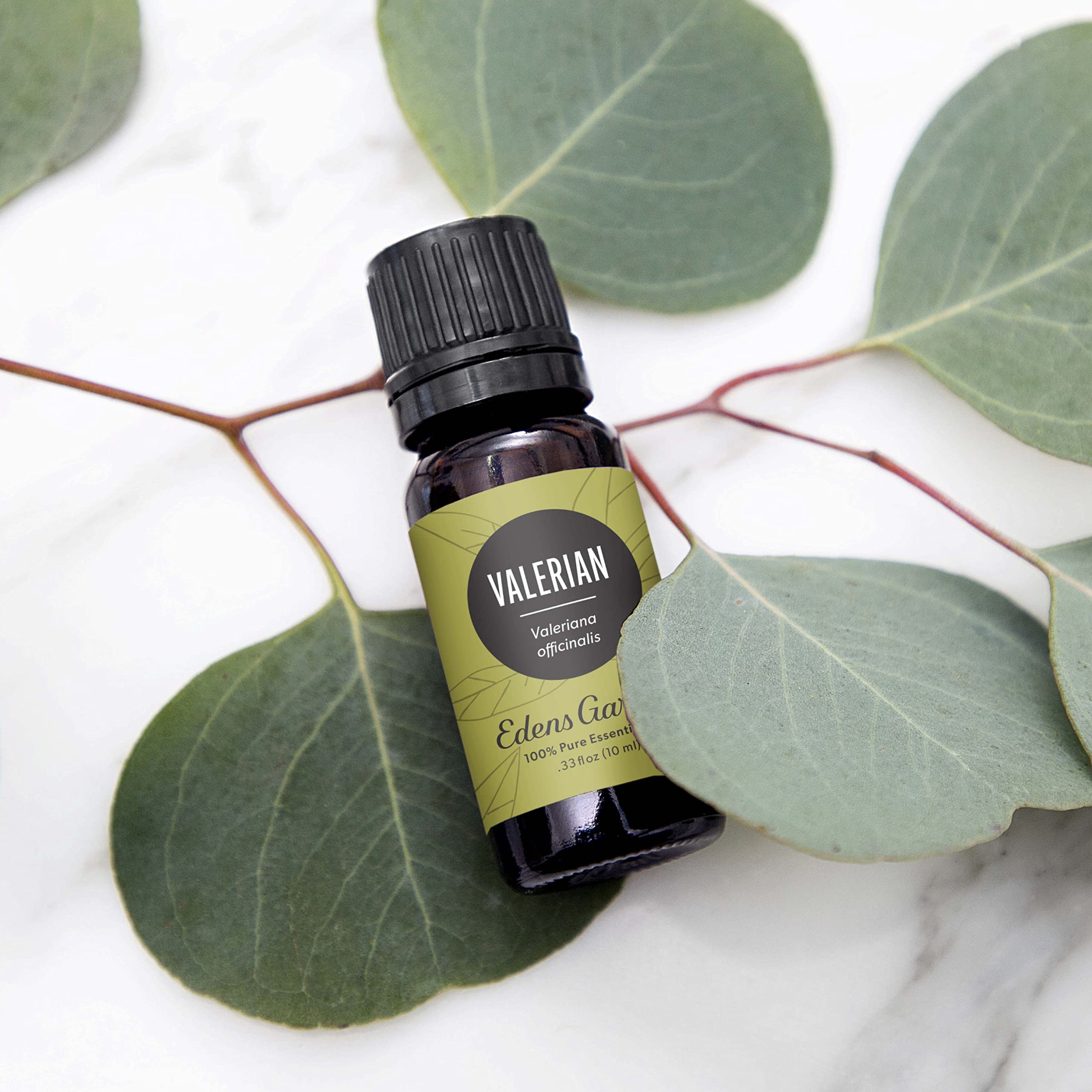Valerian oil diffuser scene by Edens Garden for evening relaxation