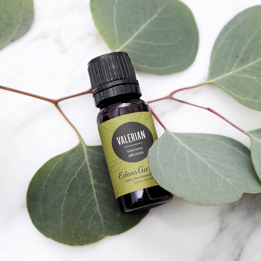 Valerian oil diffuser scene by Edens Garden for evening relaxation