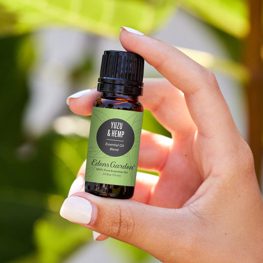 Edens Garden Yuzu and Hemp diffuser bottle creating a balanced, refreshing aroma in a room.