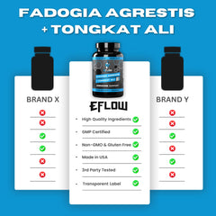 Daily wellness scene with eFlow promoting an active lifestyle