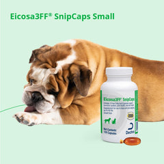Home packaging on counter supports convenient daily SnipCaps omega-3 supplementation.