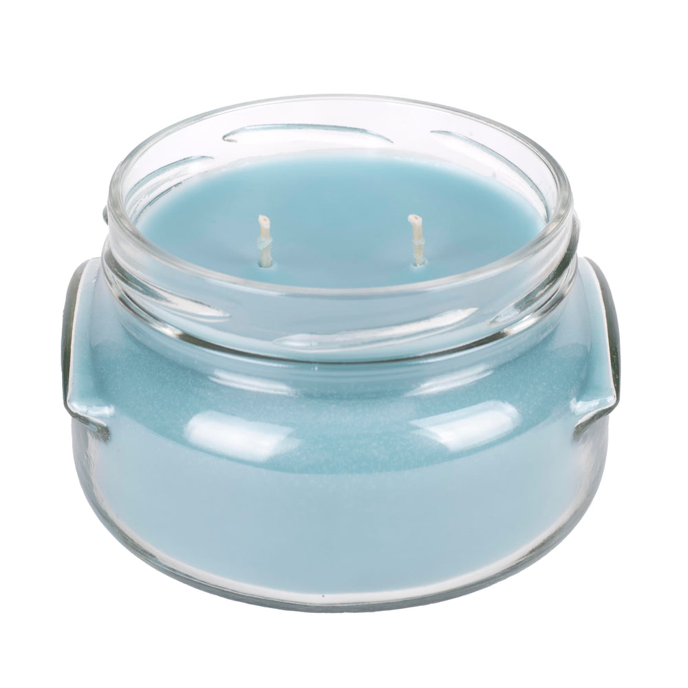 Elanze Designs Limelight 3.4 oz candle ready to freshen a shelf.