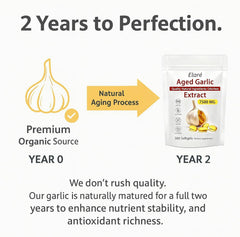 Elare bottle and packaging showing clean-label, gluten-free garlic supplement