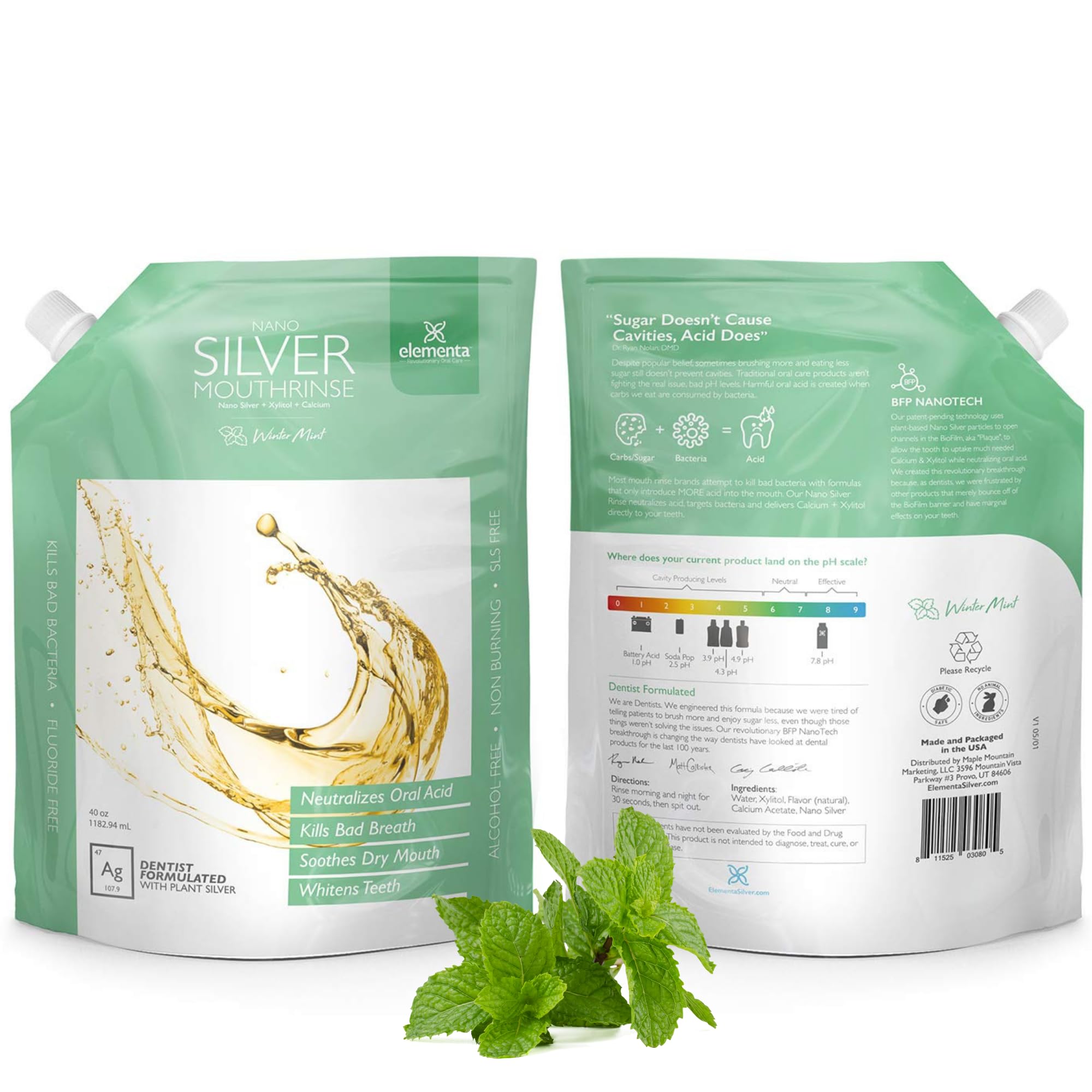 Elementa Silver Nano bottle with Winter Mint for daily remineralization support.