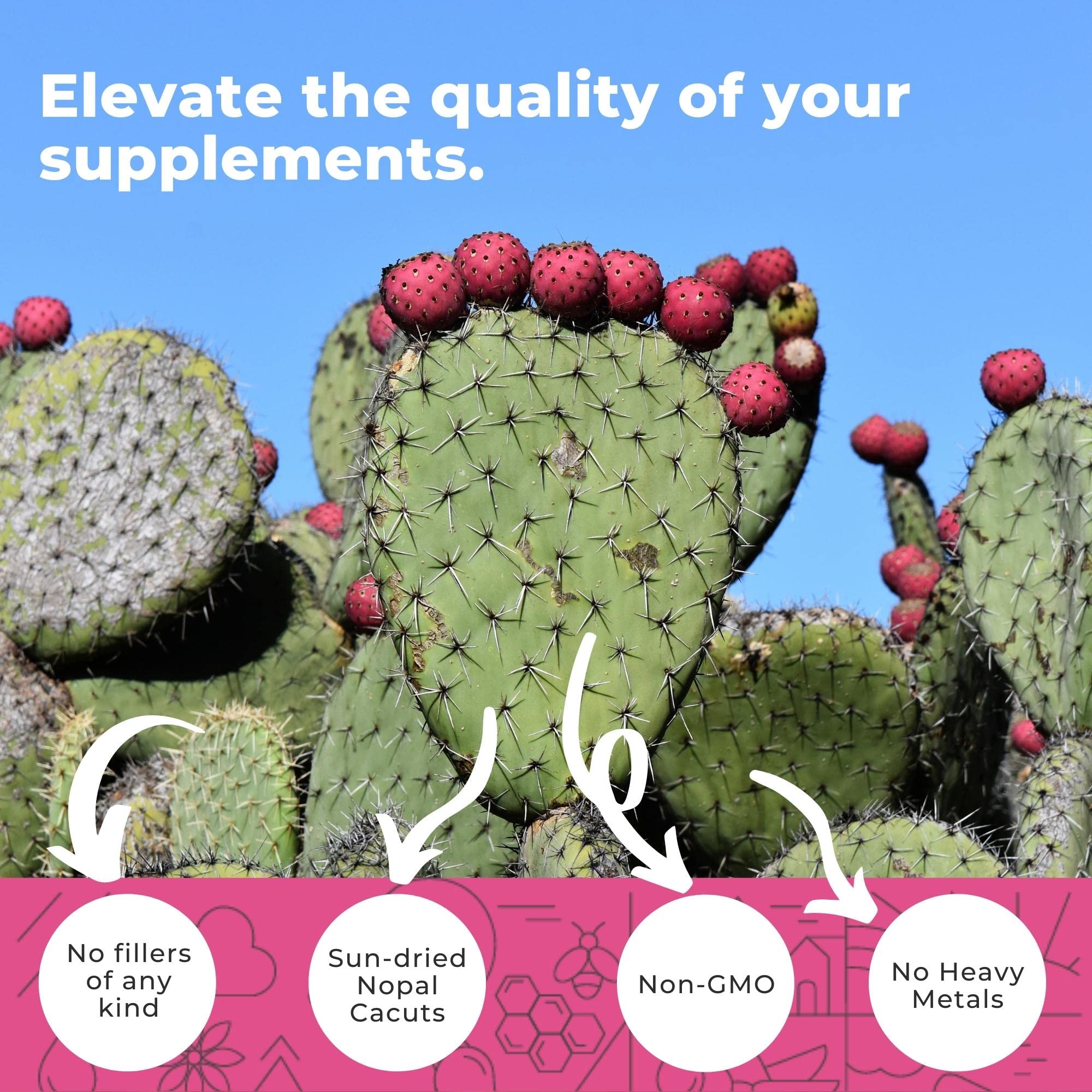 Label on Eleva Nutrition Nopal Cactus Capsules shows organic sun-dried prickly pear and black pepper.