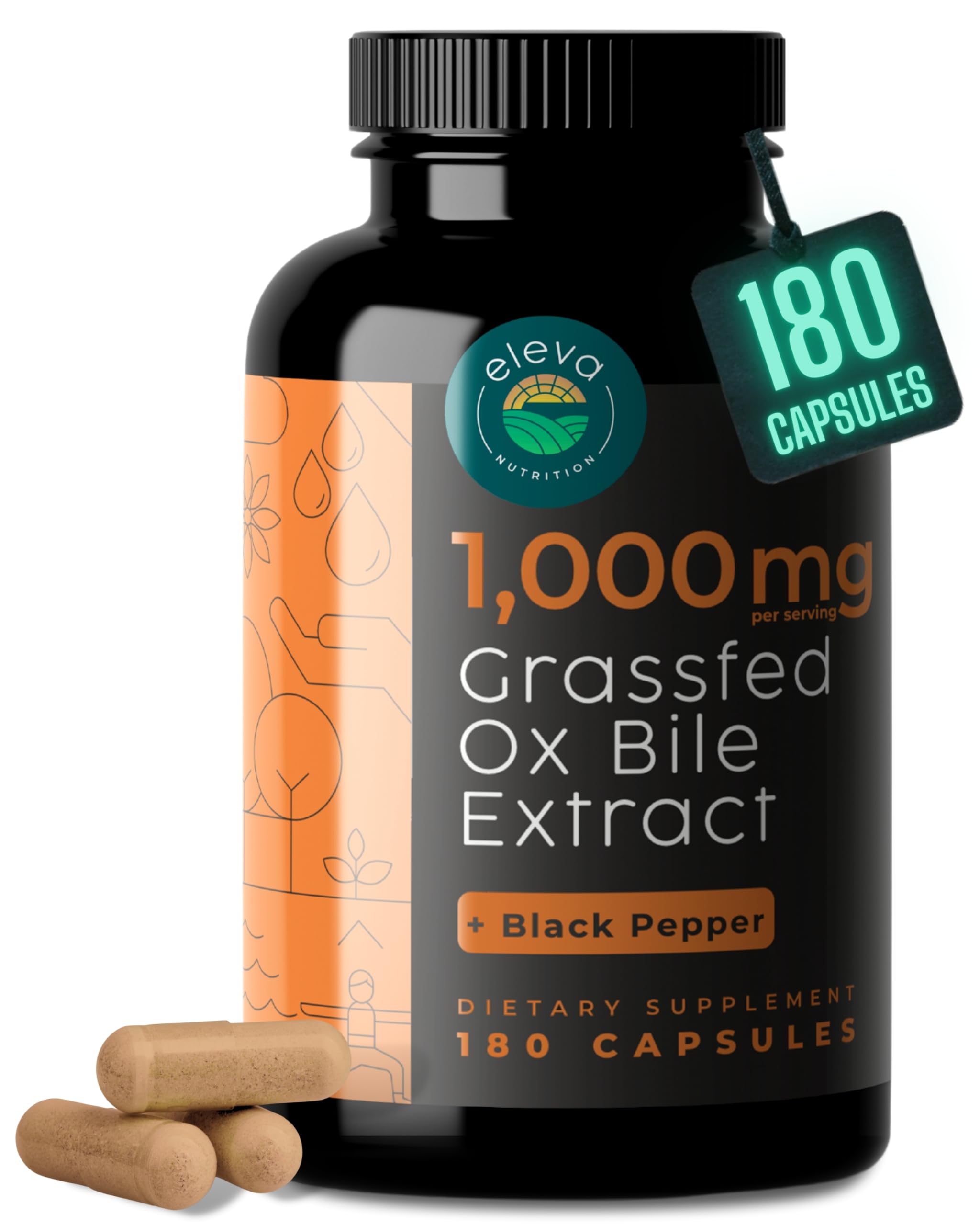 Eleva Nutrition ox bile extract bottle on shelf, designed for everyday fat digestion support.