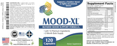 Elevate Mood-XL daily routine setup shows easy integration into morning habits