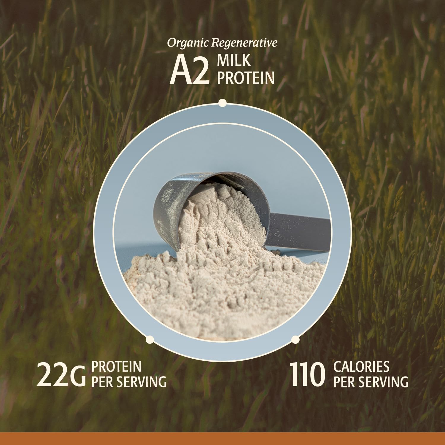 ELEVATE ORGANIC KSM-66 ashwagandha adaptogen jar highlights adaptogenic balance