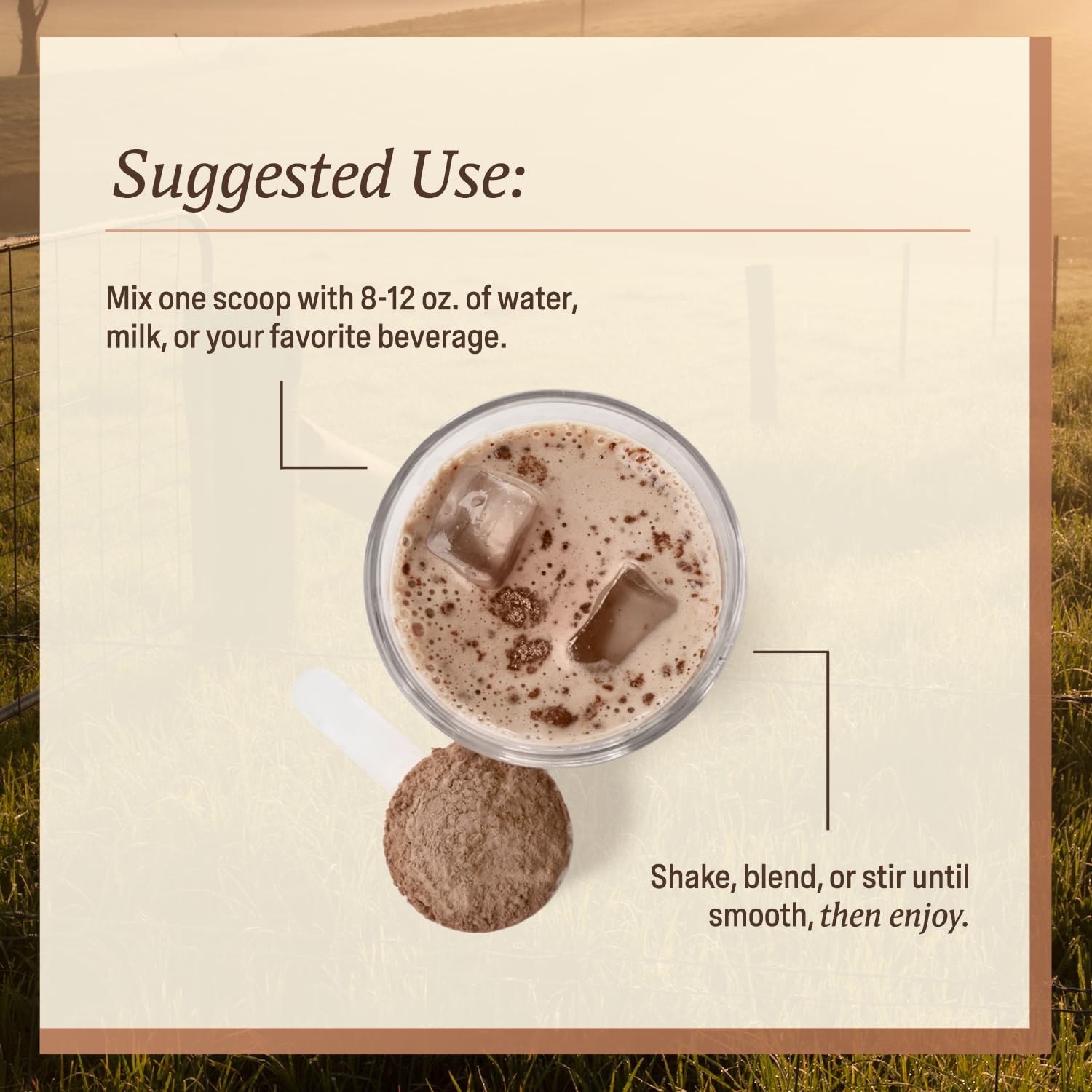 ELEVATE ORGANIC Acti Veda blend icon shows three fruits and spices