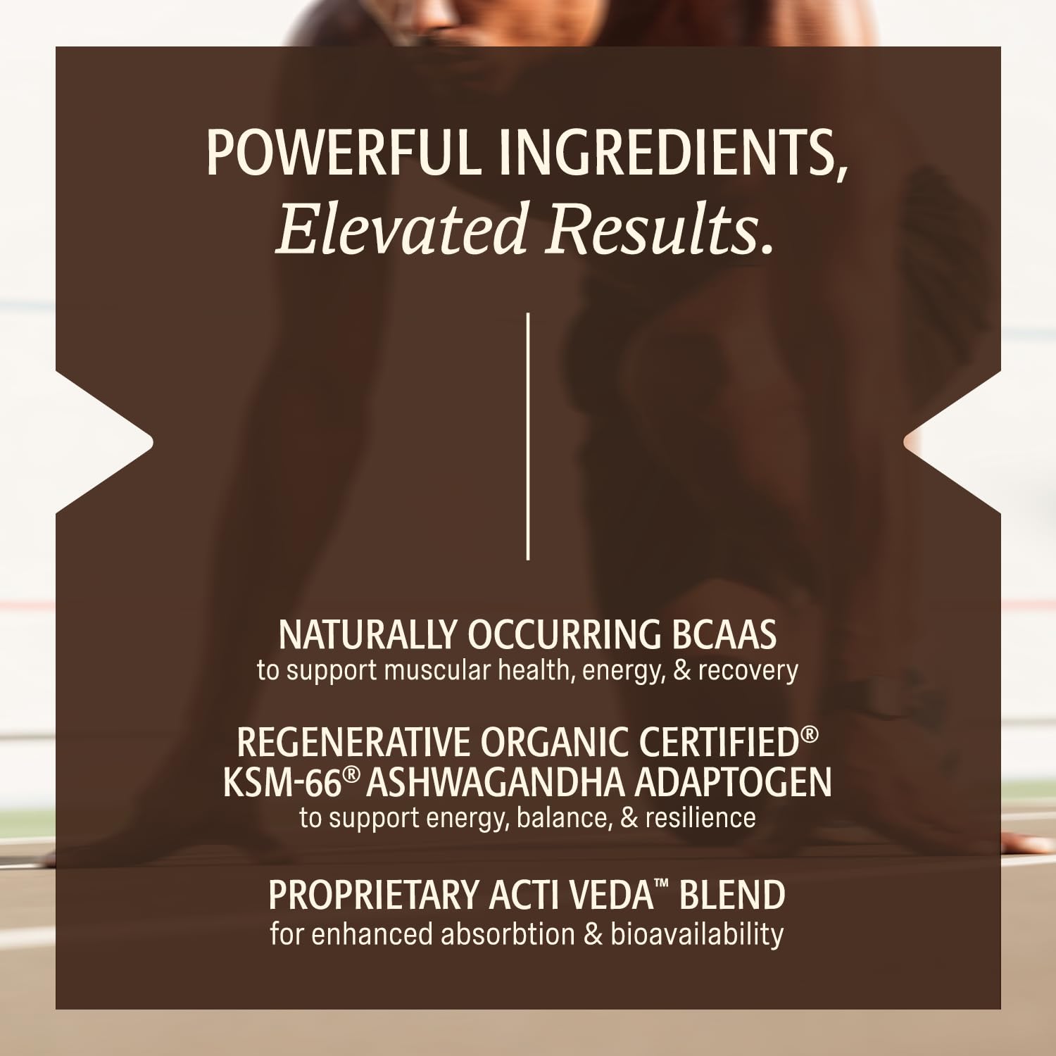 ELEVATE ORGANIC Chocolate shake in glass shows smooth texture and rich flavor