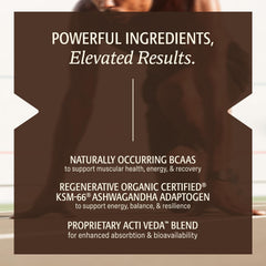 ELEVATE ORGANIC Chocolate shake in glass shows smooth texture and rich flavor