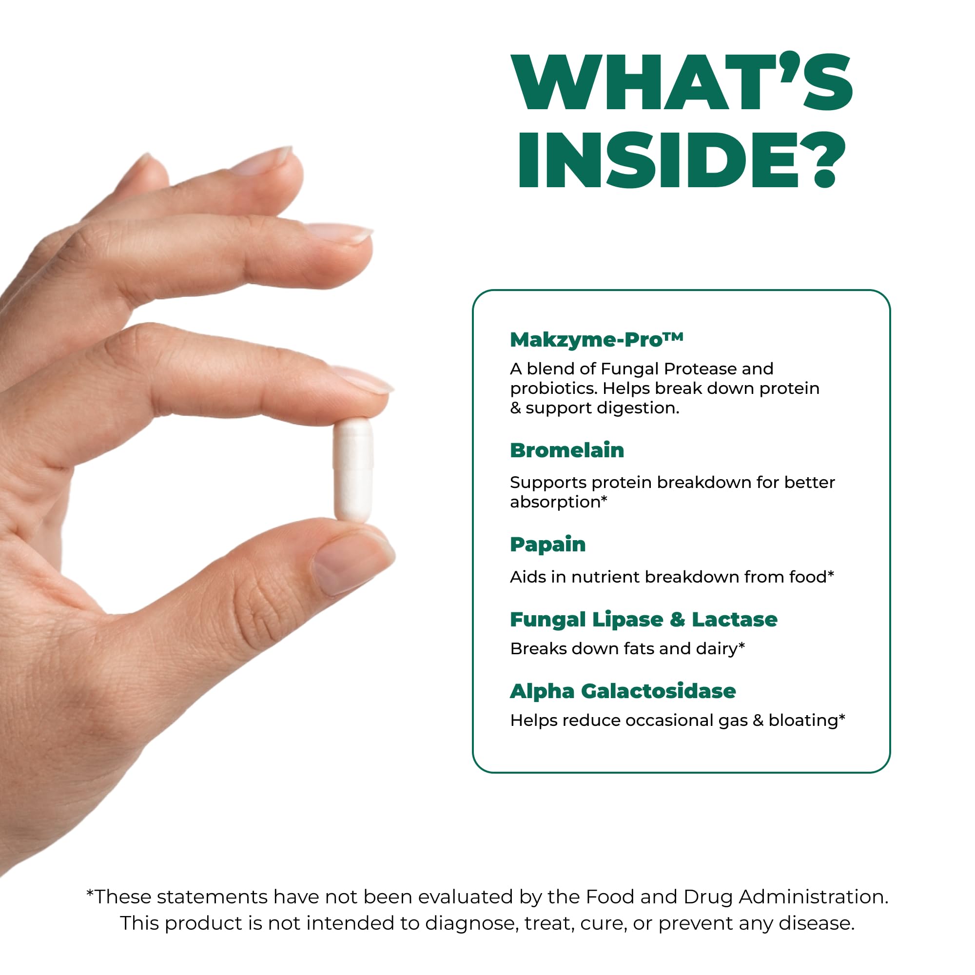 ELICORE probiotic culture Lactobacillus acidophilus shown for gut balance.