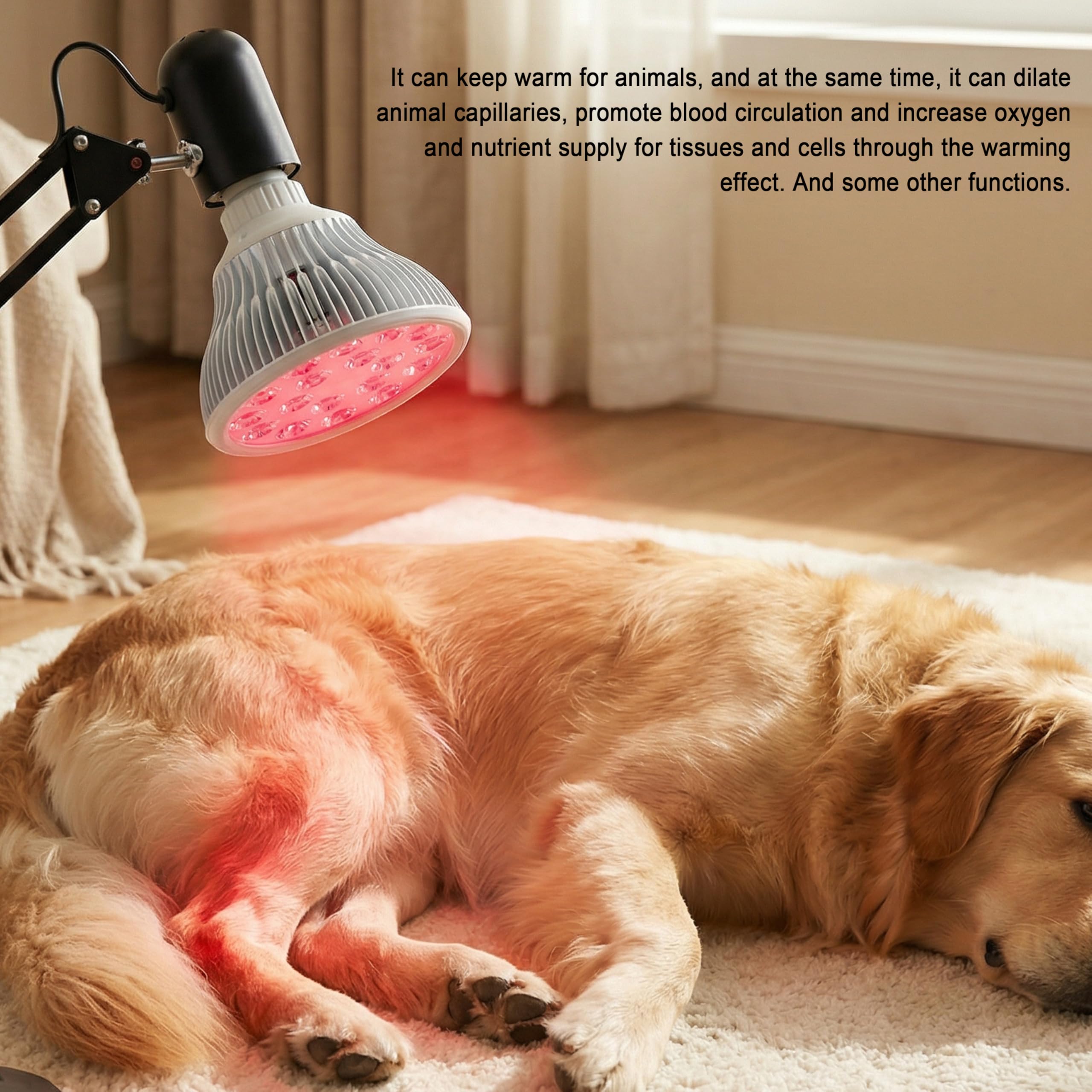 Elitzia infrared bulb aluminum housing supports safe, durable operation.