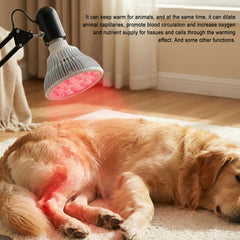 Elitzia infrared bulb aluminum housing supports safe, durable operation.