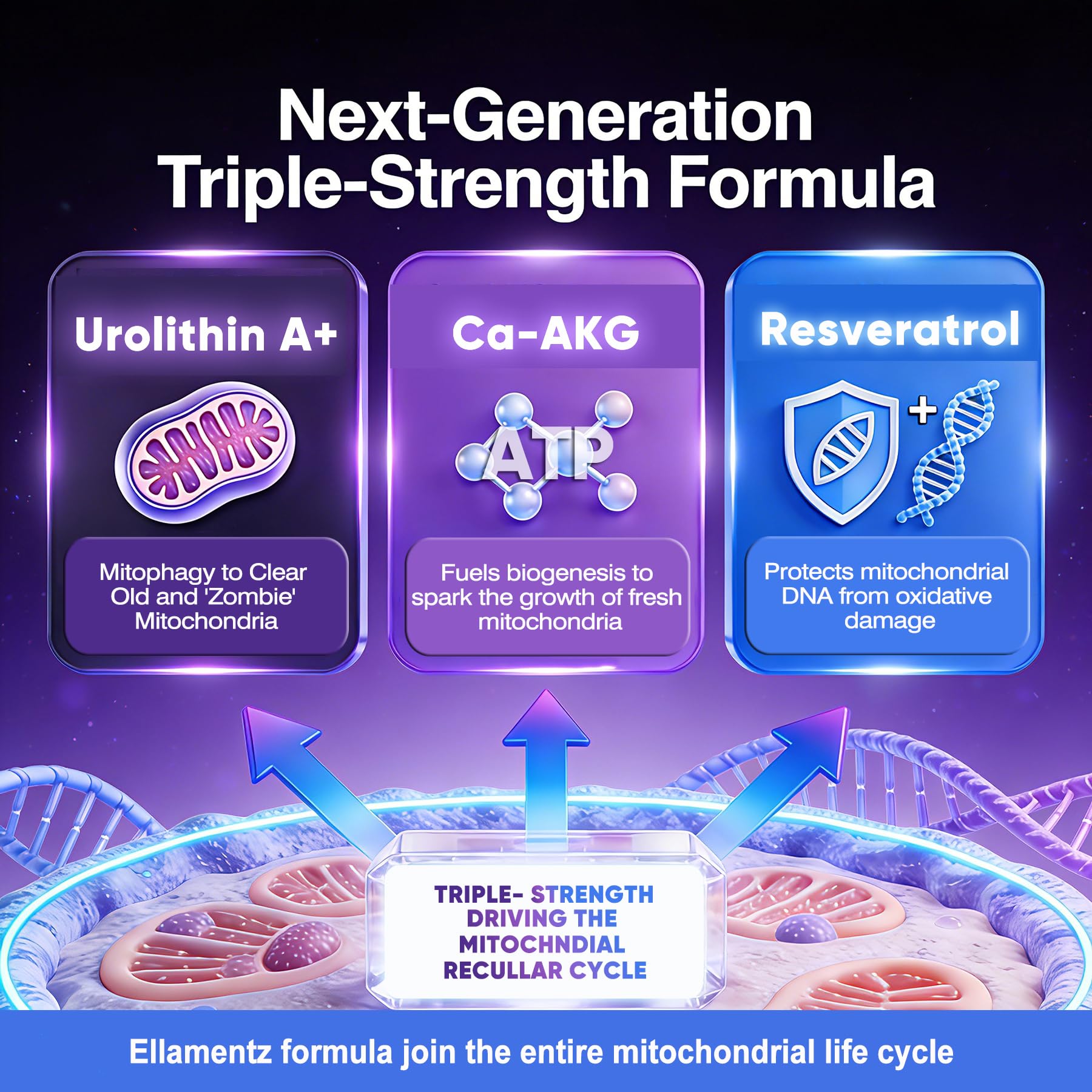 ELLAMENTZ Ca-AKG capsules showcase energy metabolism and renewal.