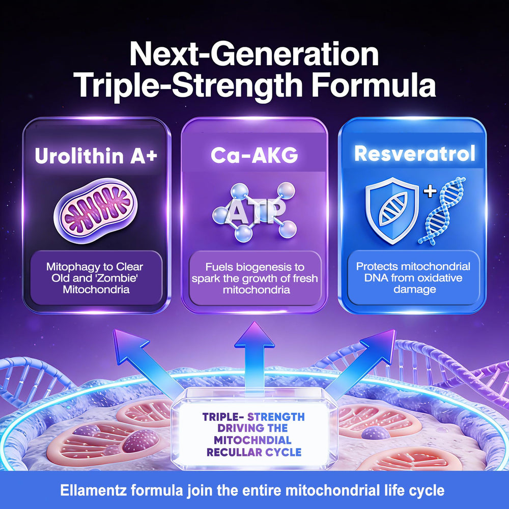 ELLAMENTZ Ca-AKG capsules showcase energy metabolism and renewal.