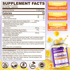 ELLAMENTZ Turmeric Gummies ginger-detail highlighting ginger's circulatory benefits