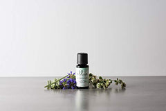 Ellia Wind Down aromatherapy scene highlights lavender-sage-cardamom blend for restful relaxation.