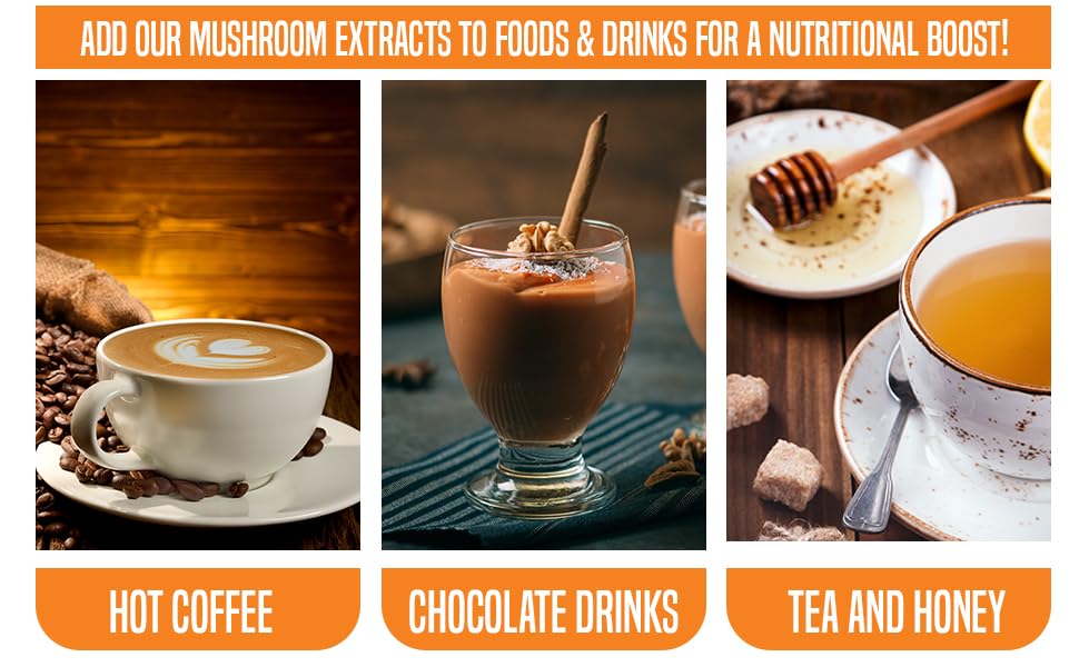 Ellie's Best 7 Mushroom powder for balance and focus routines.