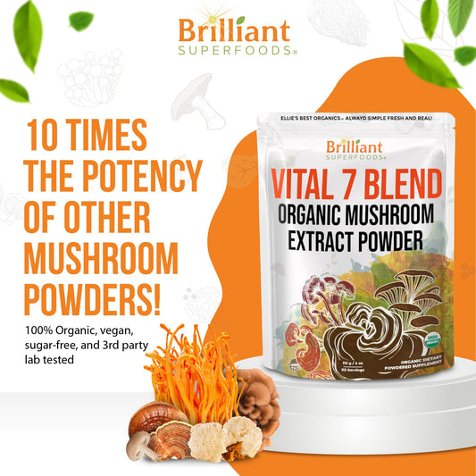 Scoop of Ellie's Best 7 Mushroom Powder ready for daily dose.