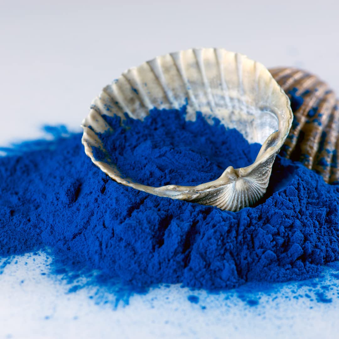 Powder blending smoothly into a shake with Ellie's Best blue spirulina