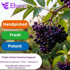 ELSORY Elvera label details on the 120-count bottle for two months of use.